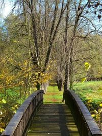 Br&uuml;cke_alt